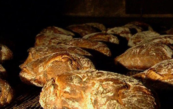 Willi wills wissen: Wer kriegt das Brot gebacken?