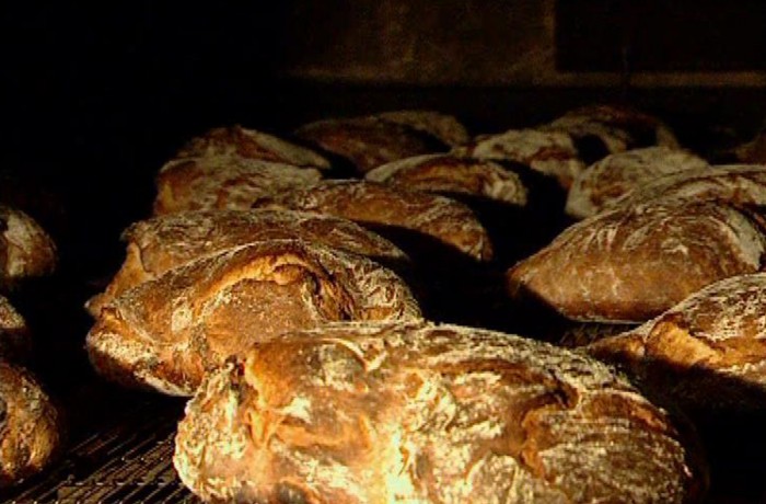 Willi wills wissen: Wer kriegt das Brot gebacken?